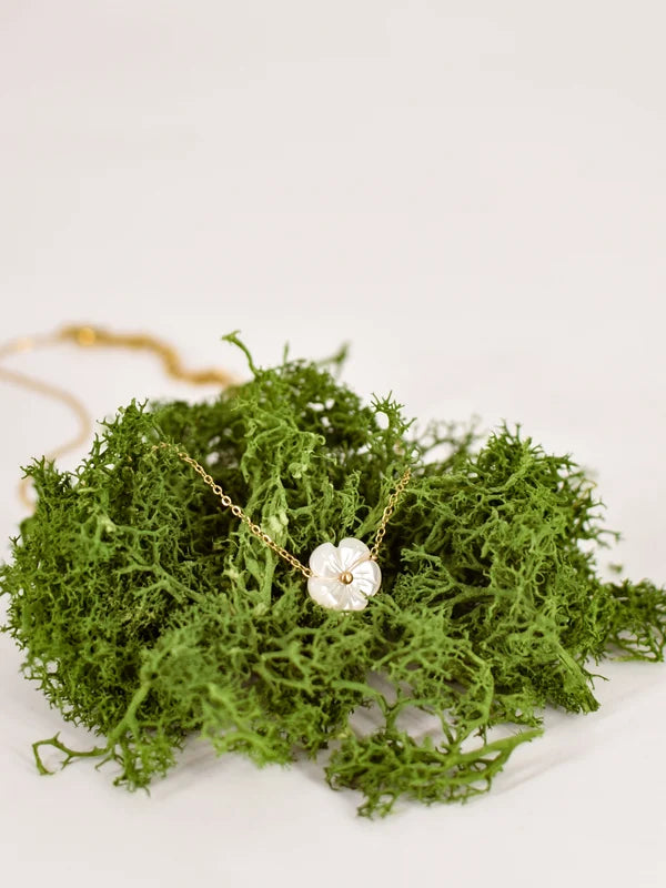 Collier Vanilla