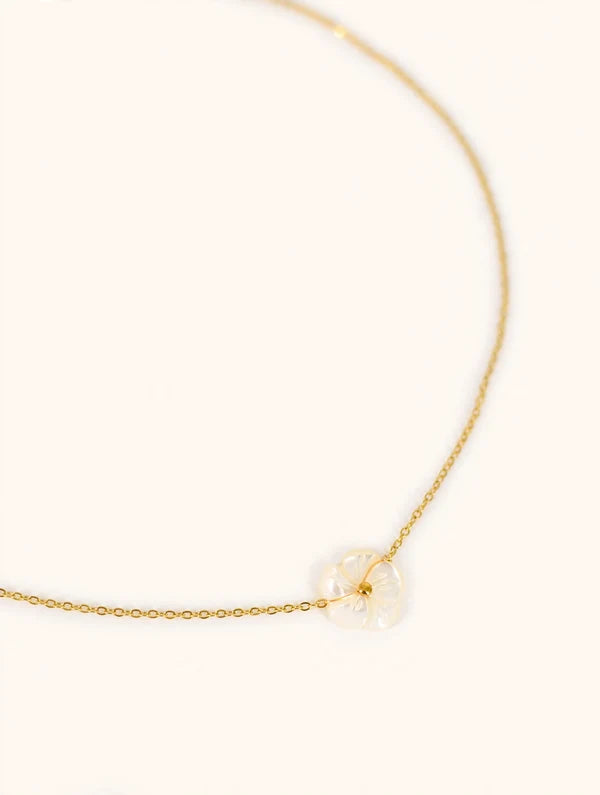 Collier Vanilla