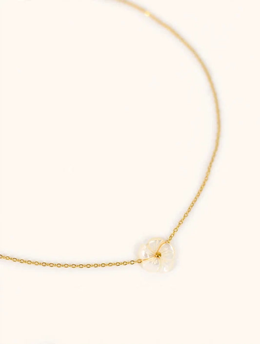 Collier Vanilla
